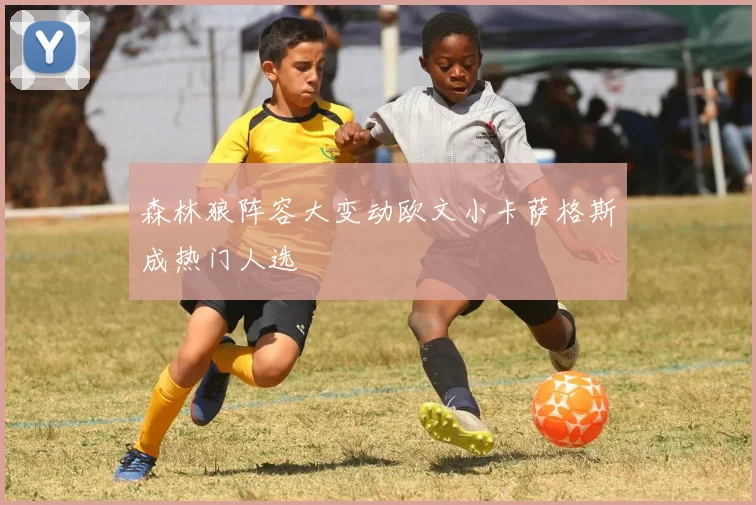 森林狼阵容大变动欧文小卡萨格斯成热门人选