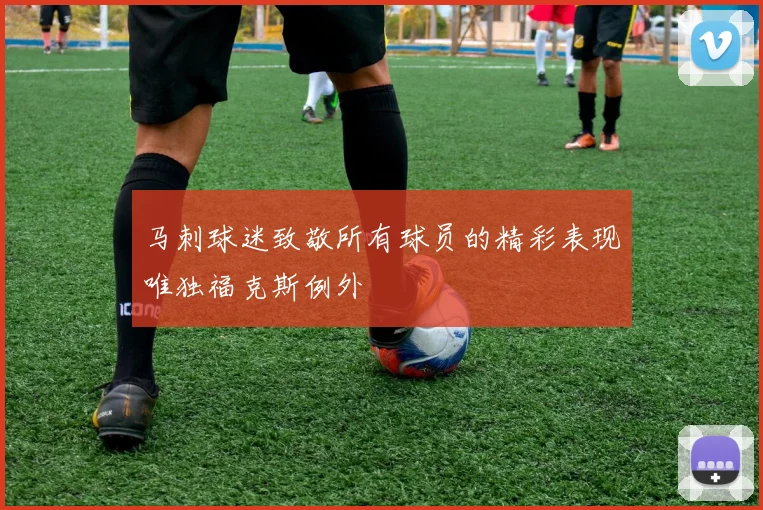 马刺球迷致敬所有球员的精彩表现唯独福克斯例外